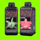 Pack Orchid Focus