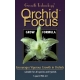 Orchid Focus grow