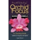 Orchid Focus bloom