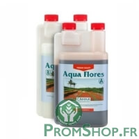 Canna Aqua flores A + B