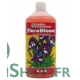 Flora Bloom 1L