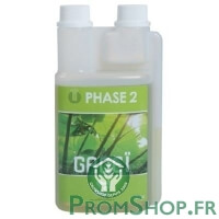 Phase 2 - 500ml