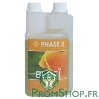 Phase 3 - 500ml