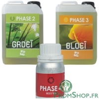 Pack phase essentiel XL