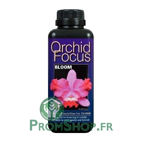 Orchid Focus bloom 500ml