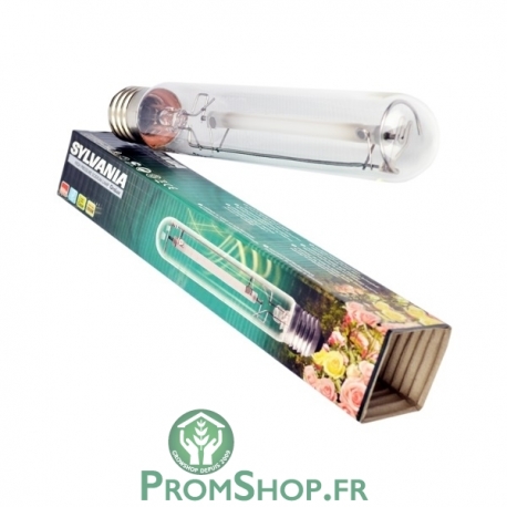 Ampoule 400 w Sylvania Croissance et Floraison Grolux