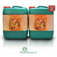 Composant terre A + B en 5 litres