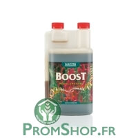 Canna boost 1L