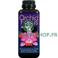 Orchid Focus bloom 100ml